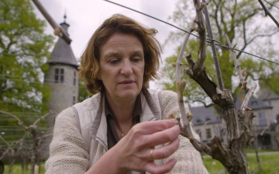 WIjnlady of the year 2025