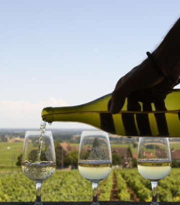 Bourgogne alternatieven